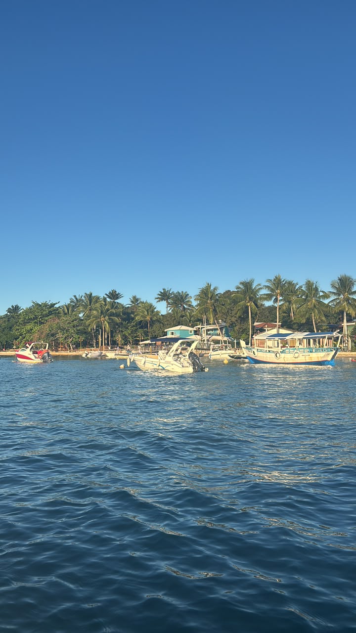 Barcos sobre o mar, com coqueiros e casas ao fundo